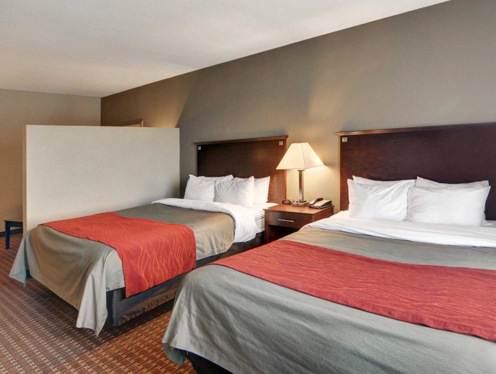 Standard Doppel Zimmer Comfort Inn & Suites Near Lake Lewisville