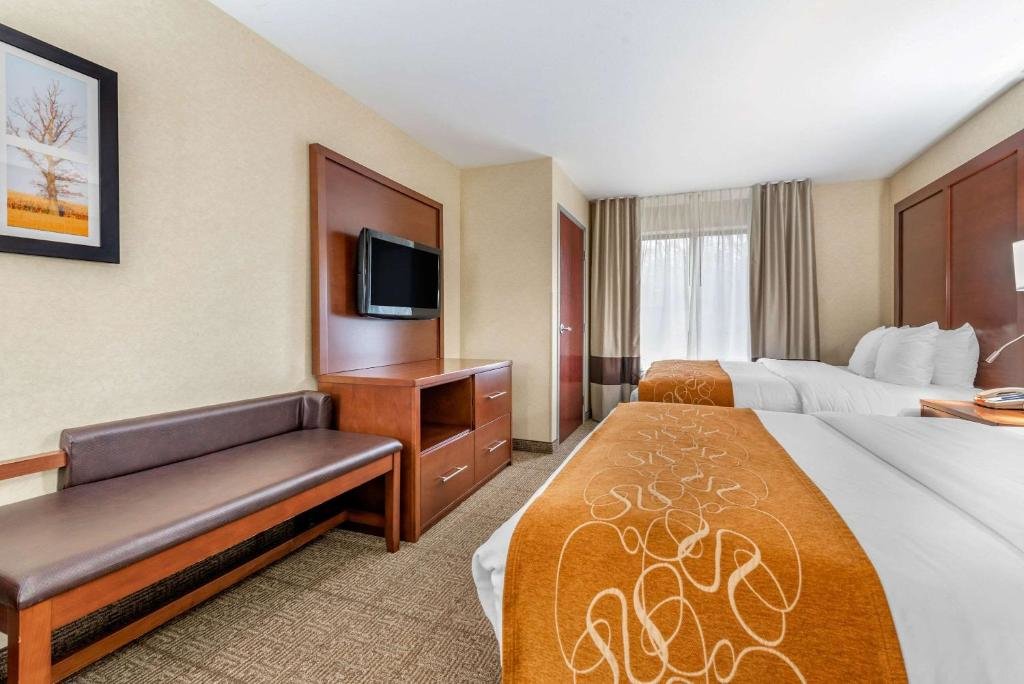 Standard Double room Comfort Suites South Elkhart