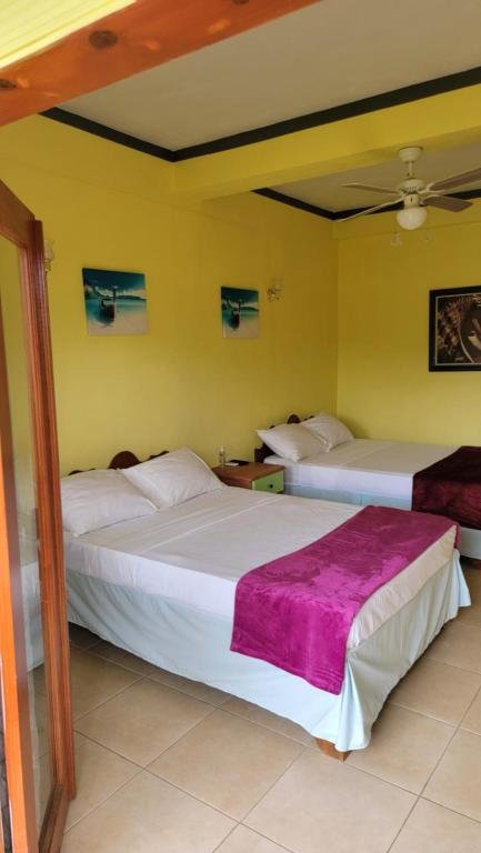 Standard Doppel Zimmer mit Gartenblick Tropical Paradise View