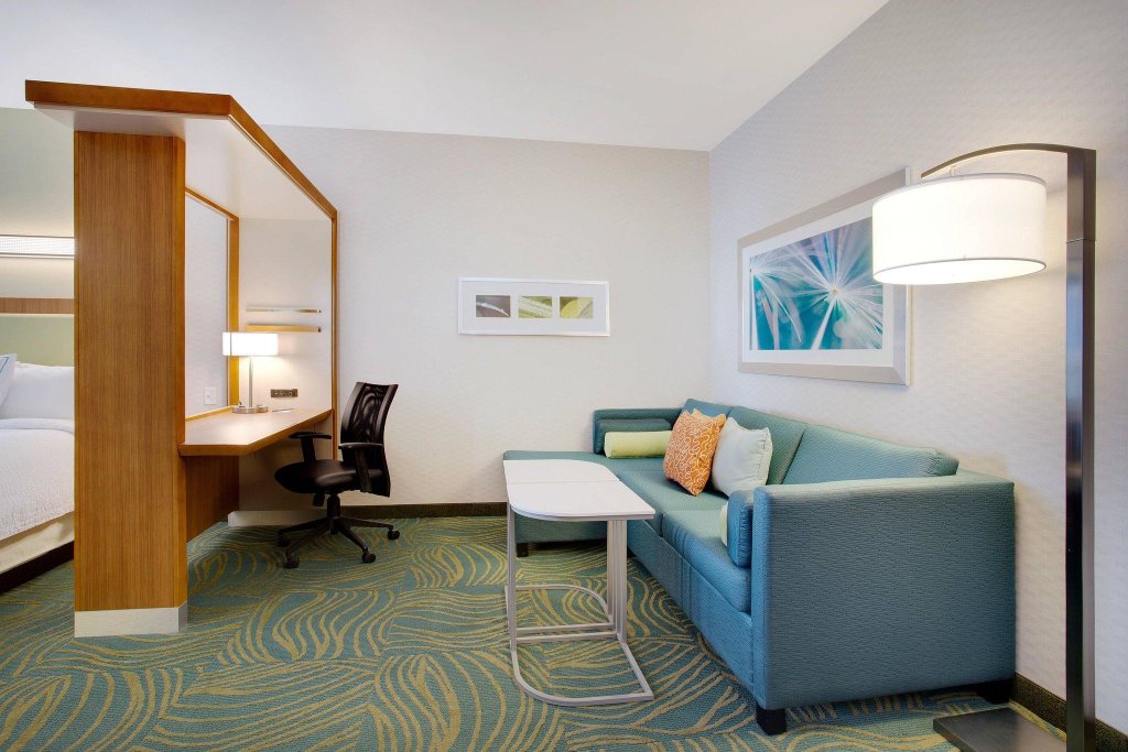 Двухместный люкс SpringHill Suites by Marriott Murray