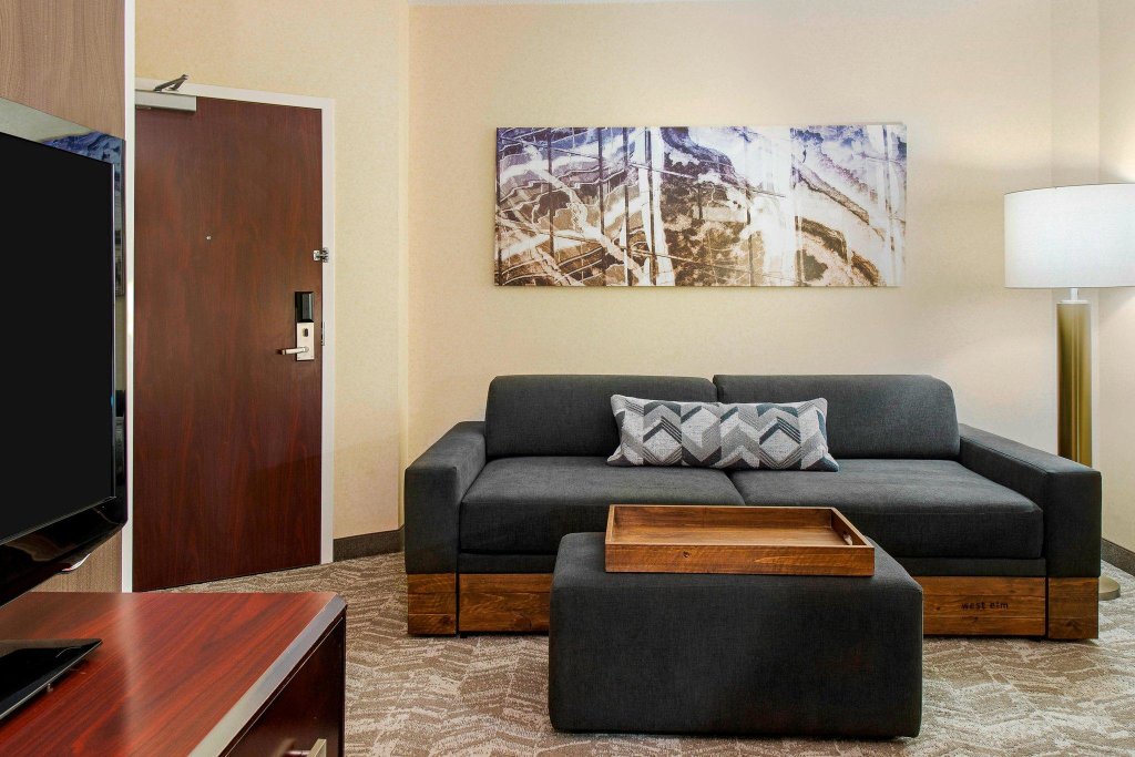 Двухместный люкс SpringHill Suites by Marriott Wheeling Triadelphia Area