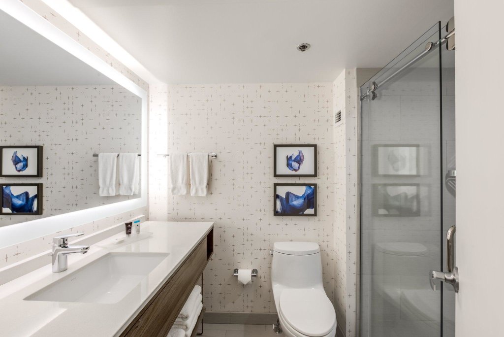 Двухместный номер Premium Crowne Plaza Suites Arlington, an IHG Hotel