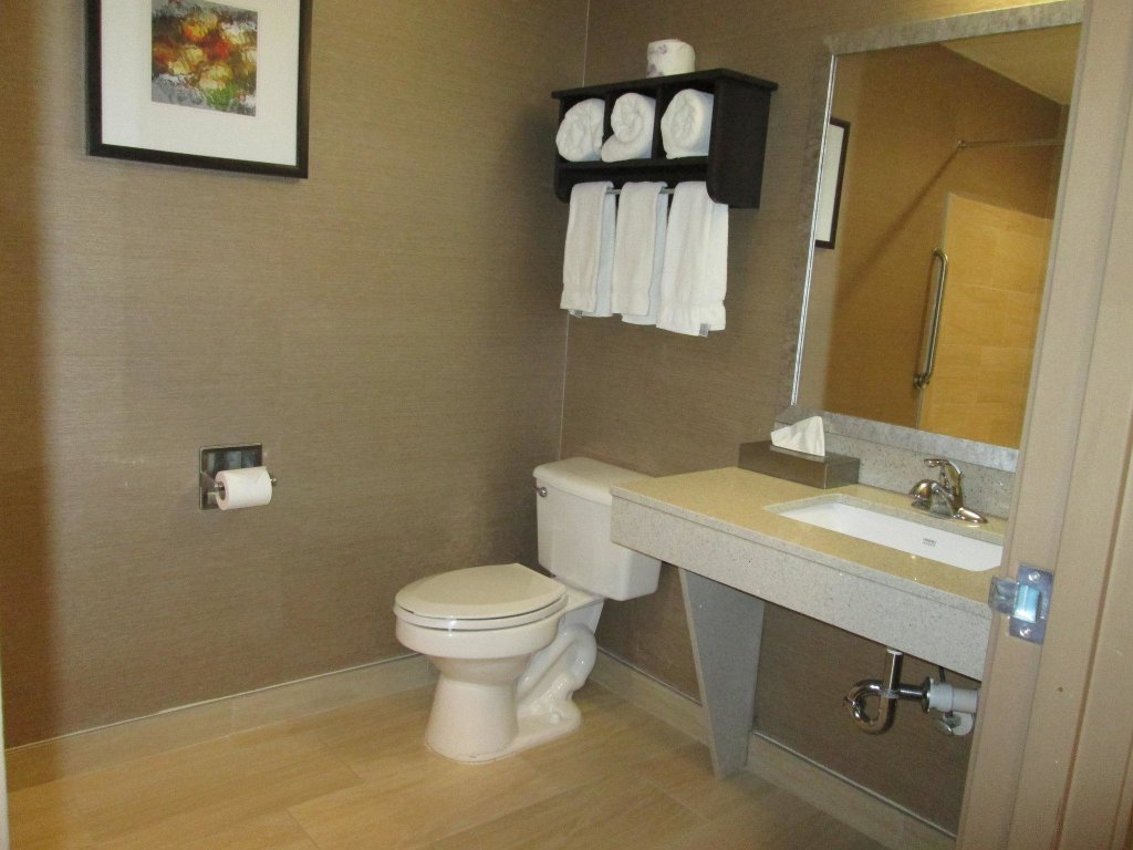 Suite doppia Holiday Inn Express Cloverdale