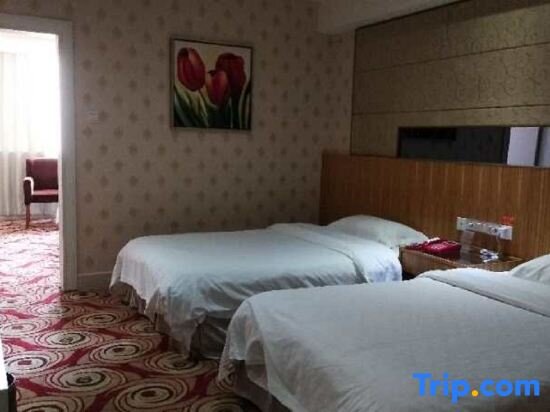 Люкс Jinlong City Hotel