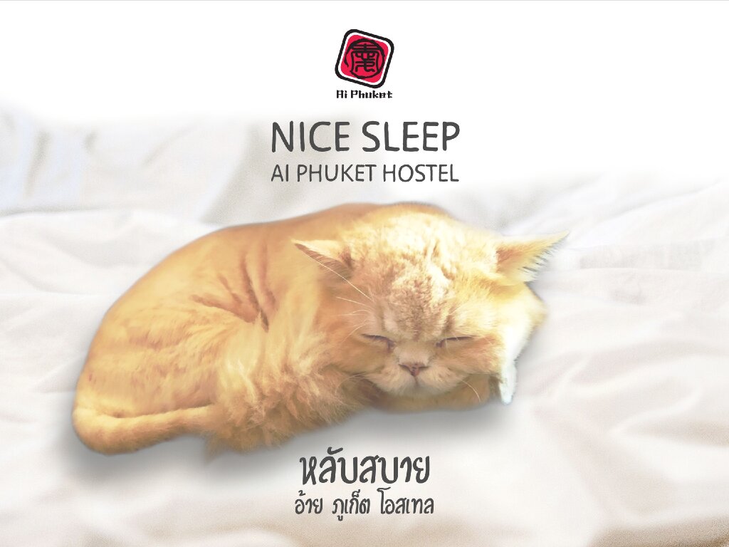 Кровать в общем номере Ai Phuket Hostel