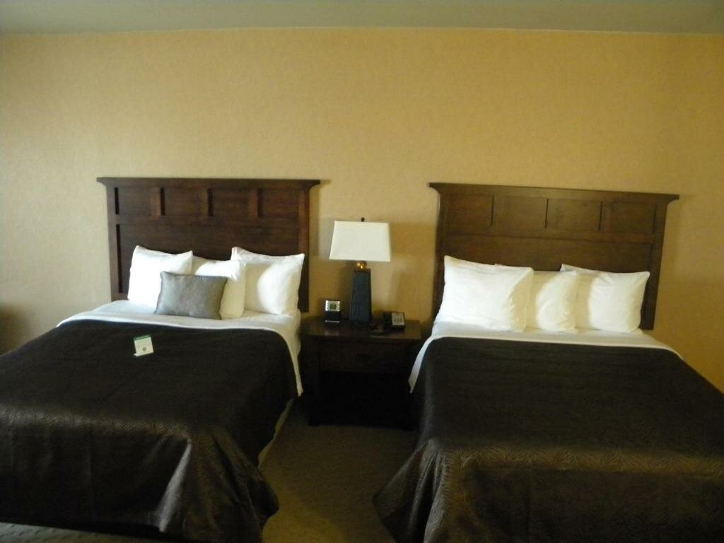 Camera doppia Standard Teddy's Residential Suites Watford City