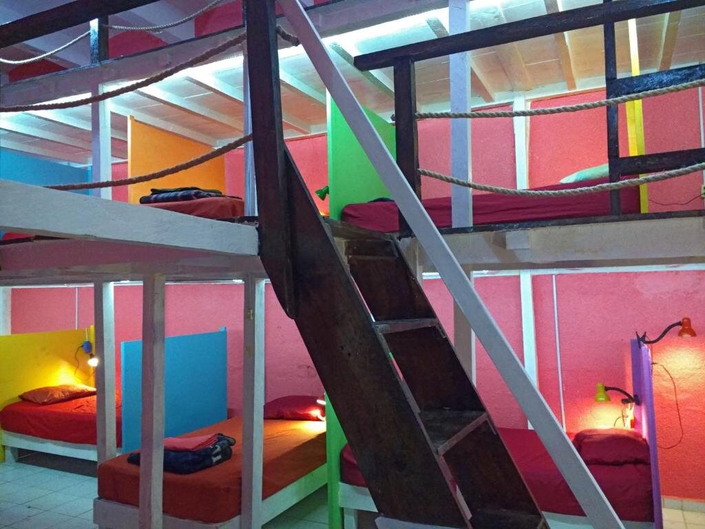 Кровать в общем номере Iguana Hostel Oaxaca