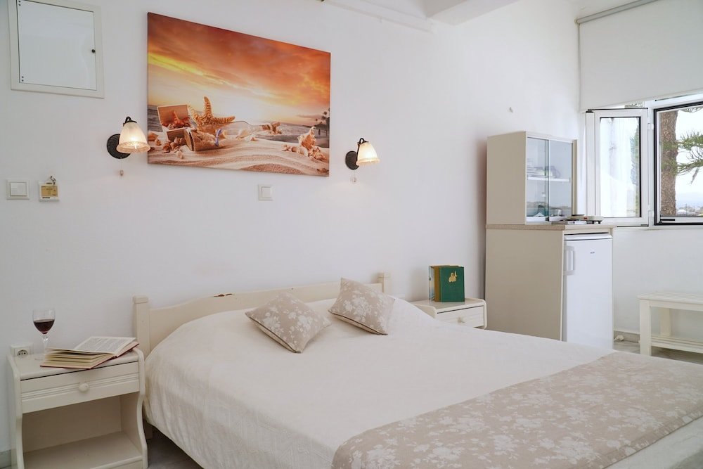 Standard Double room with balcony and with sea view Diogenis Studios