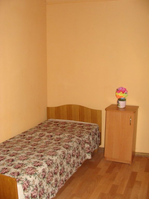 Standard Single room Sosnovaia Poliana Hostel