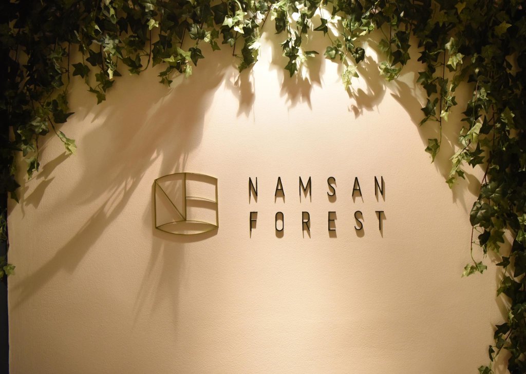 Одноместный номер Standard Namsan Forest in Myeongdong