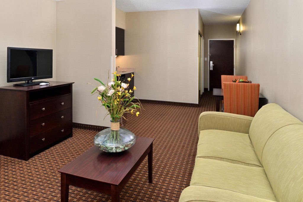 Люкс c 1 комнатой Holiday Inn Express Hotel & Suites Indianapolis W - Airport Area, an IHG Hotel