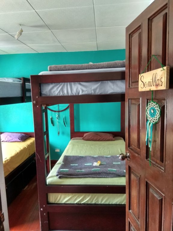 Bed in Dorm with courtyard view Hostal Dreamcatcher