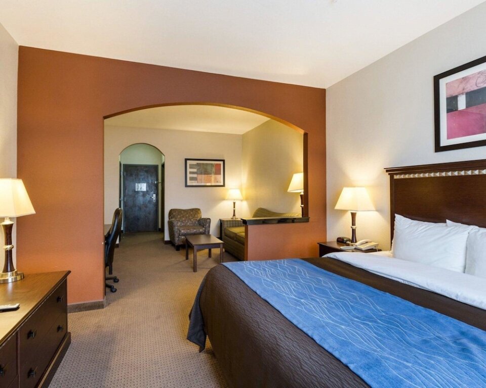 Suite Comfort Inn And Suites Winnie