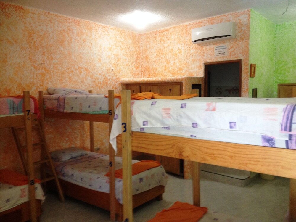 Кровать в общем номере c 1 комнатой Amigos Hostel Cozumel