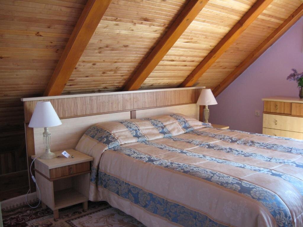 1 Bedroom Attic Suite Vila Elvyra
