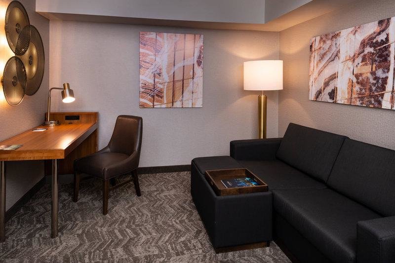 Люкс Standard SpringHill Suites by Marriott Pittsburgh North Shore