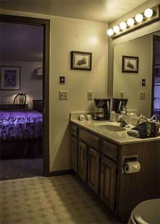 Standard double chambre Avec vue Silver Spruce Resort