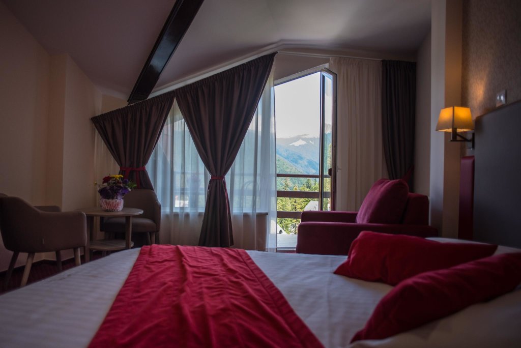 Двухместный номер Standard с видом на горы Hotel Marea Neagra