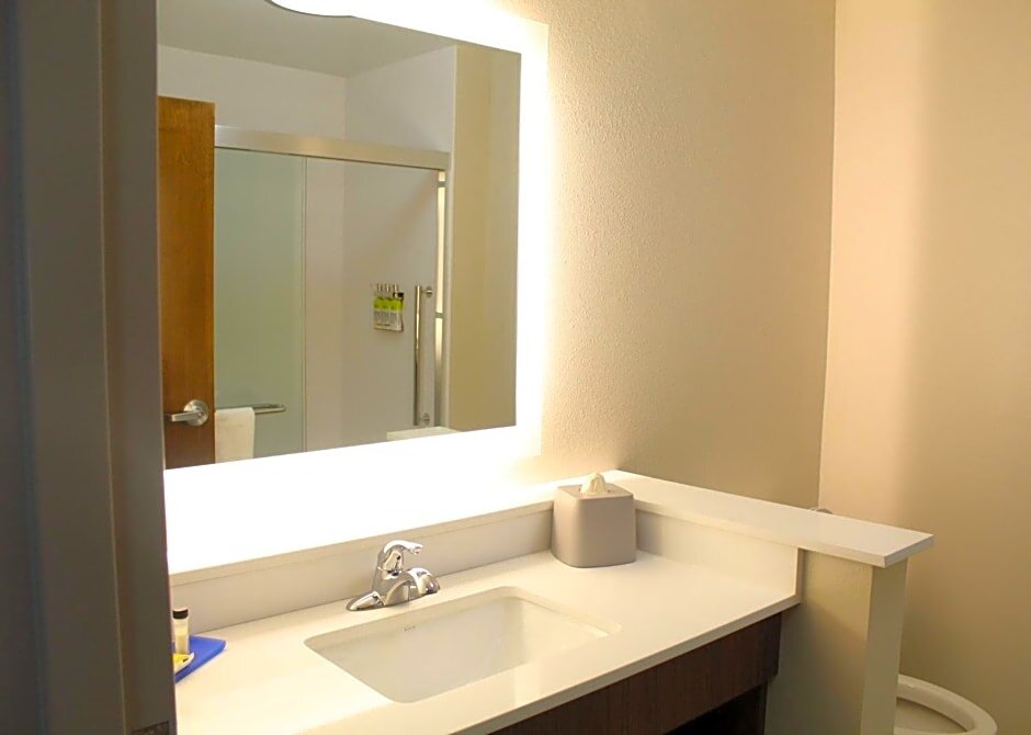 Standard Doppel Zimmer Holiday Inn Express & Suites - Latta, an IHG Hotel