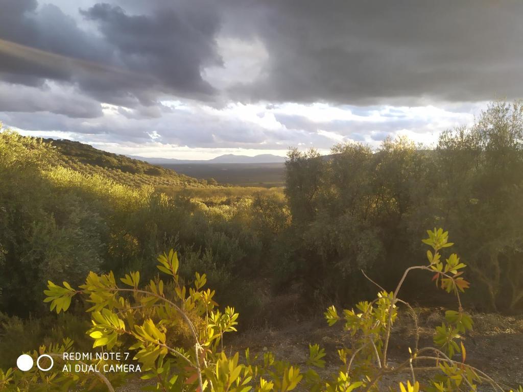 Вилла Casas Rurales Cortijo la Cañada