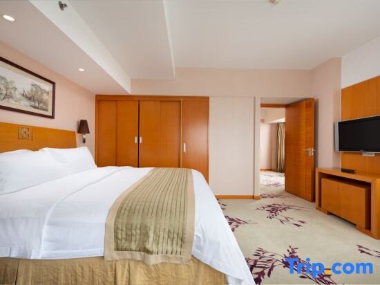 Suite Business Aster Hotel