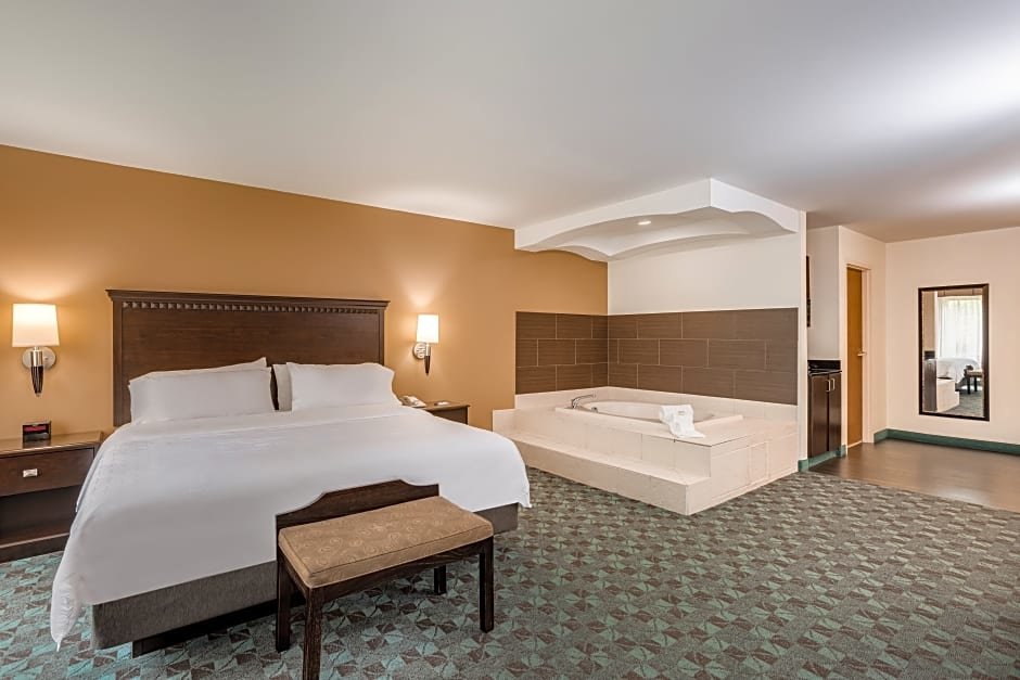 Двухместный люкс c 1 комнатой Holiday Inn Express Hotel & Suites Canton, an IHG Hotel