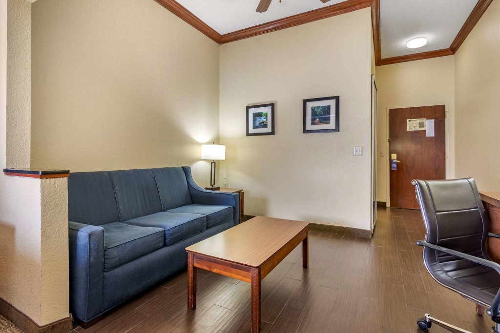 Двухместный люкс Comfort Inn & Suites Statesboro - University Area