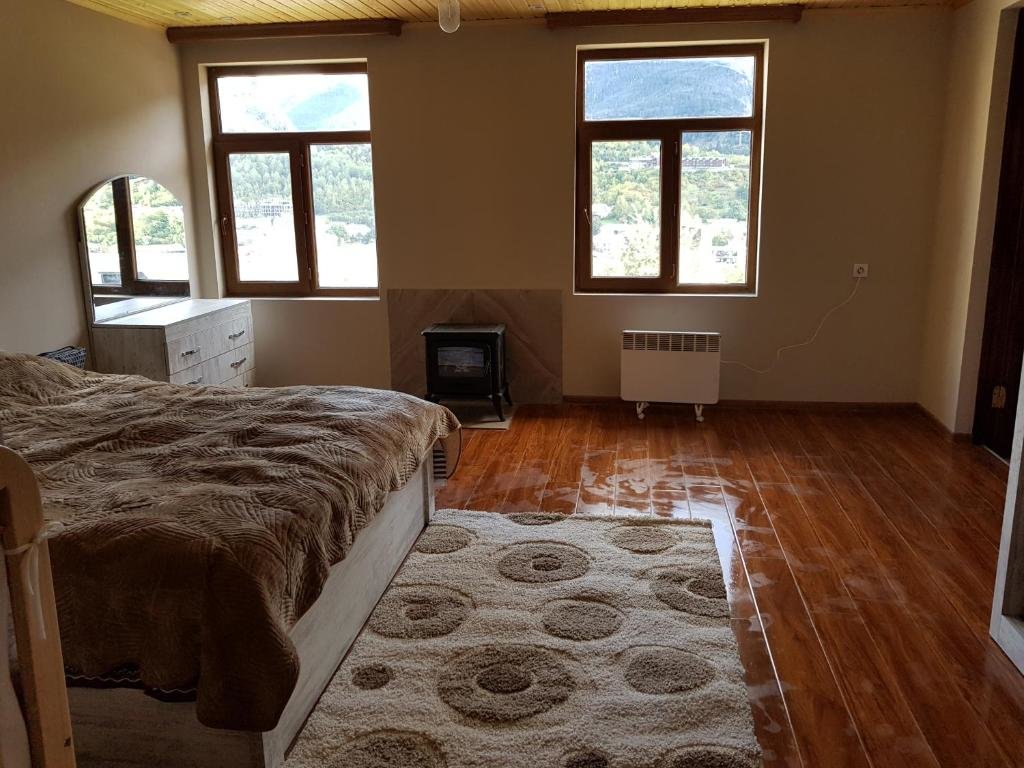 Standard Double room with mountain view Guest House Goshtela