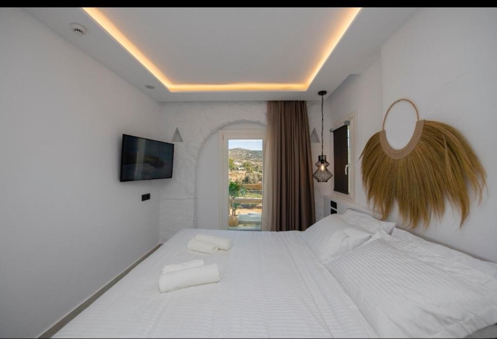 Двухместный номер Standard с видом на бассейн Oliving Mykonos Luxury Suites