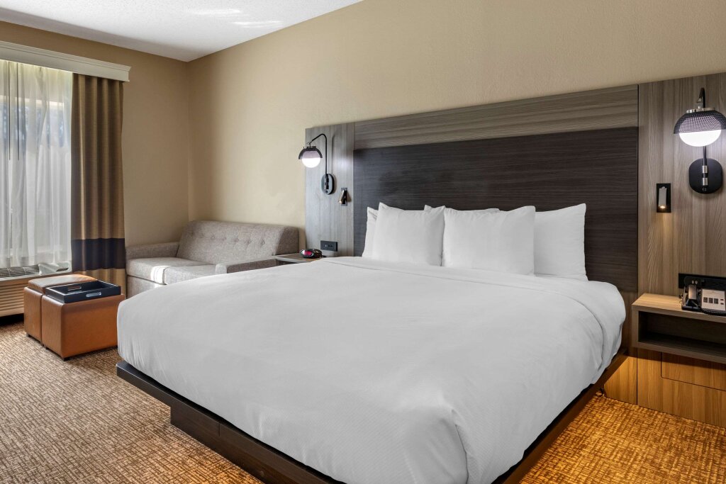 Suite Comfort Inn & Suites North Dallas-Addison