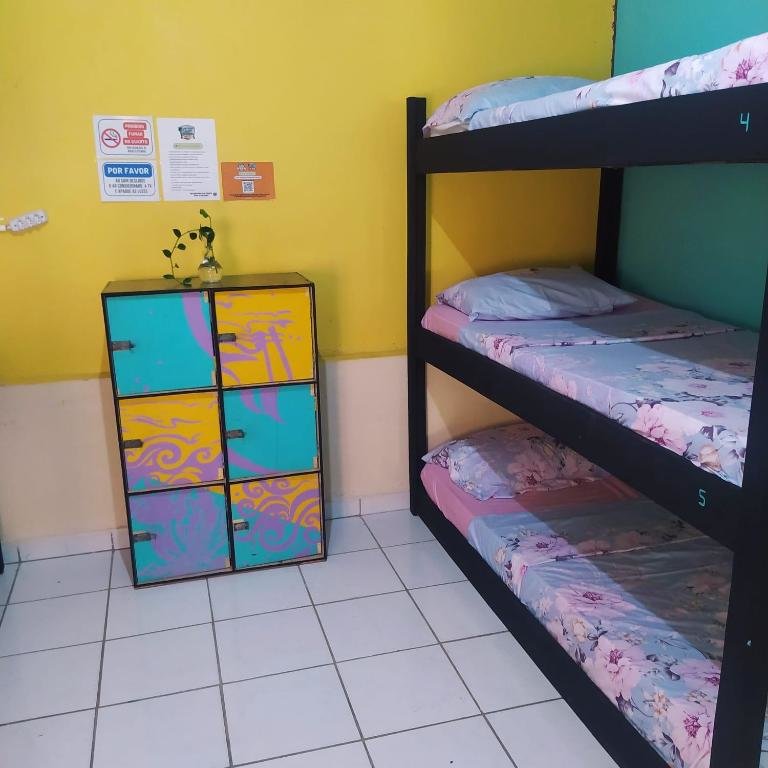 Bed in Dorm (female dorm) Proxima Estacion Hostel