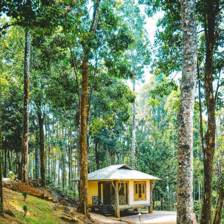 Коттедж Deluxe Vythiri Wild Forest Resort