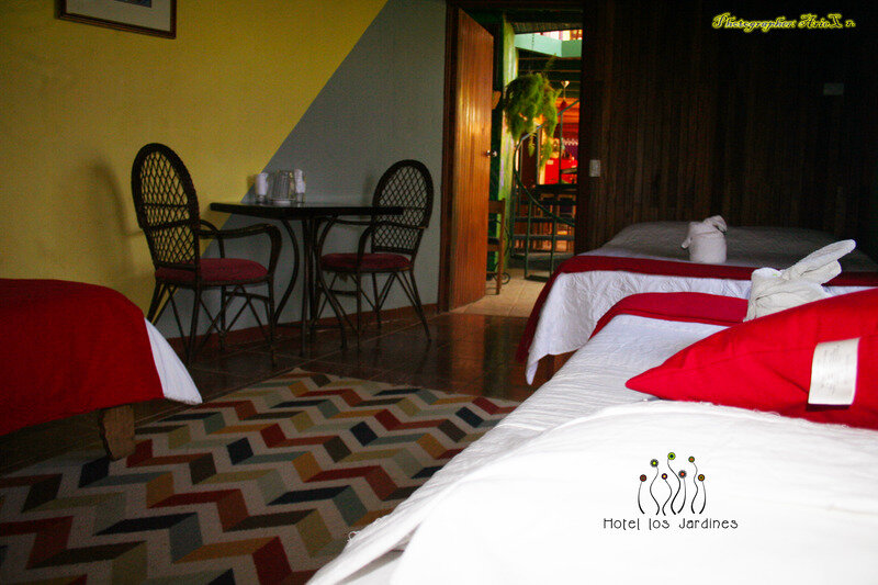 Habitación Estándar Hotel Los Jardines De Monteverde