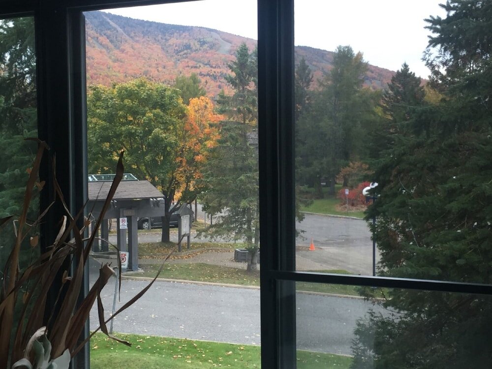 1 Bedroom Standard room with mountain view Chalet et condos Mont Sainte-Anne