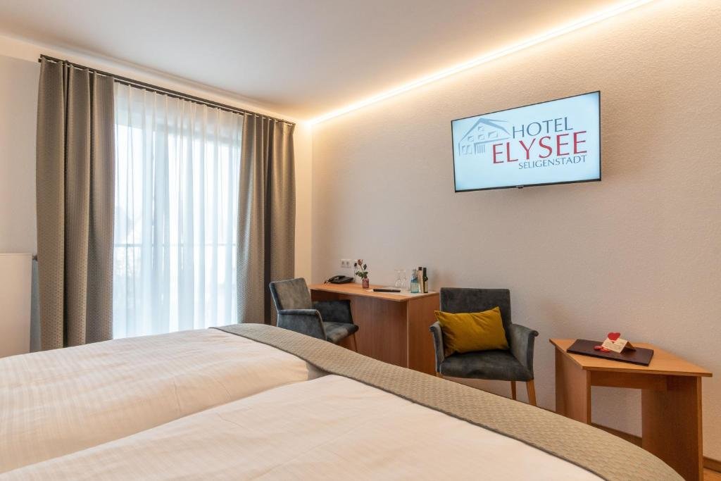 Camera doppia Superior Hotel Elysee
