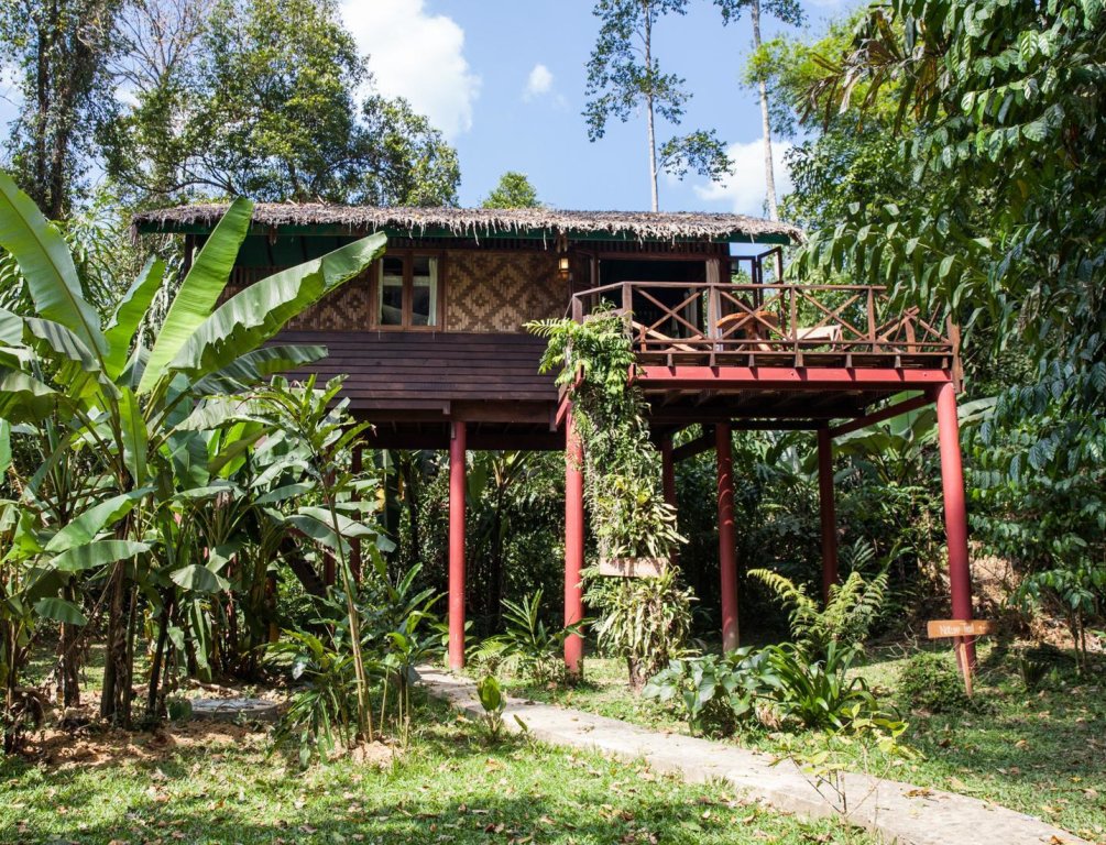 Cabaña familiar Our Jungle House