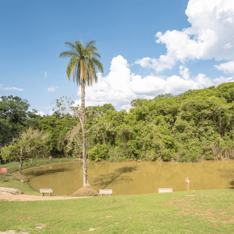 Parque Do Avestruz Eco Resort, Esmeraldas – Updated 2023 Prices