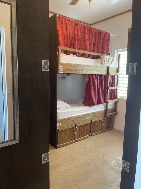 Cama en dormitorio compartido Royal Rat Hostel