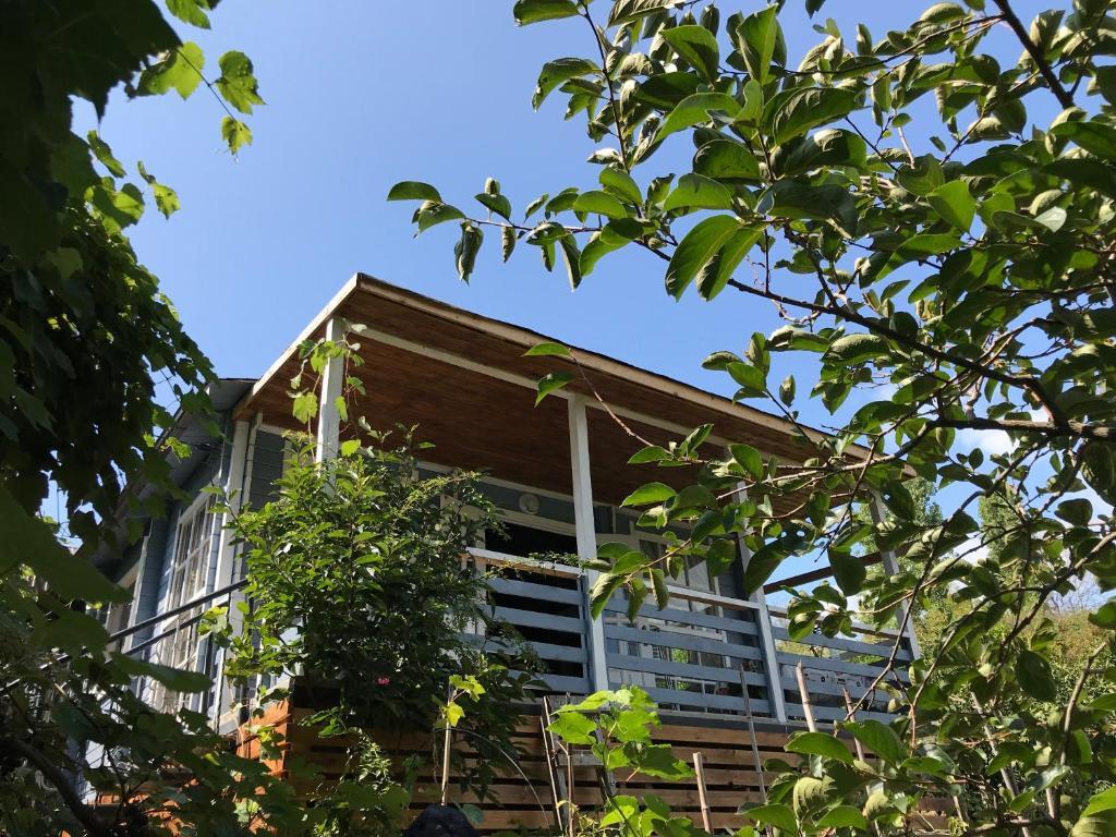 Дом для отпуска Eco Cottage Marina в Новый Афон, Абхазия. Забронировать Eco  Cottage Marina, пер. Ладария д. 9, Novy Afon