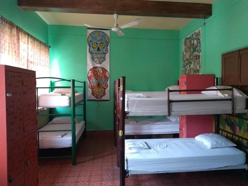 Кровать в общем номере Casa Kraken Hostel