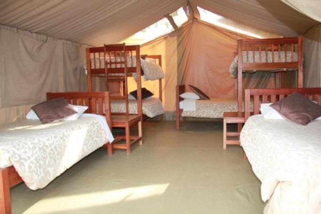 Bed in Dorm Wildebeest Eco Camp