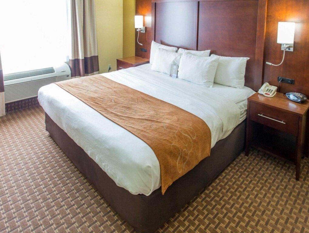 Standard room Comfort Suites Port Allen - Baton Rouge