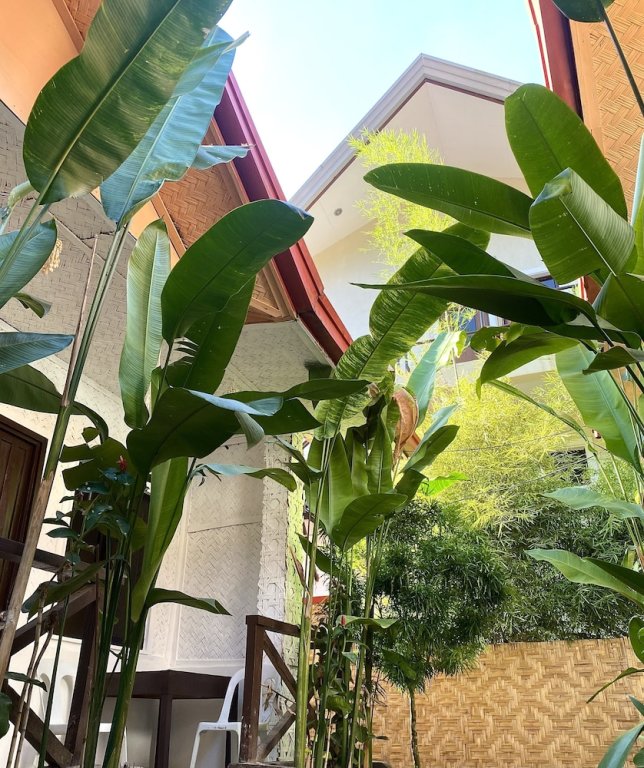 Двухместный номер Economy с видом на сад Jungle Hostel El Nido