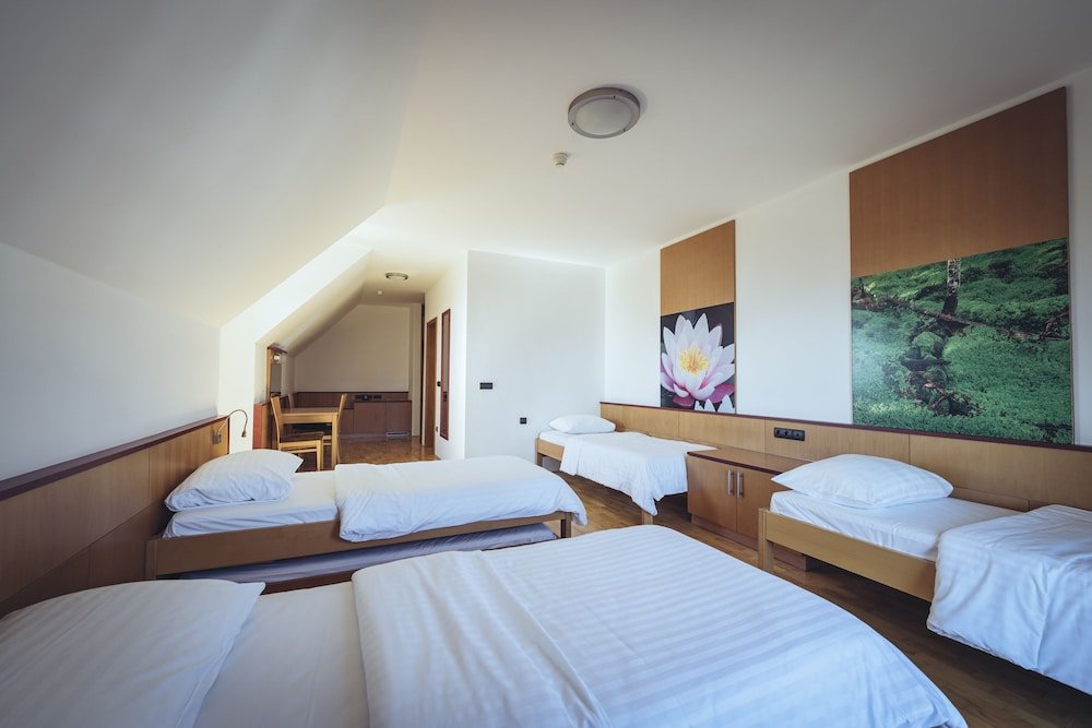 Habitación Estándar Pohorje Village Wellbeing Resort - Forest Hotel Videc