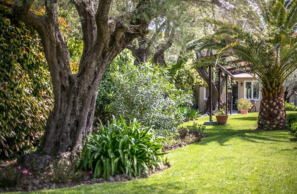 Люкс с видом на сад Villa Fabulite
