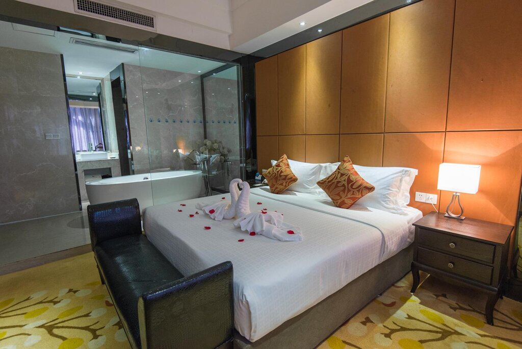 Deluxe Suite Wuhan New Beacon Jinyinhu International Hotel