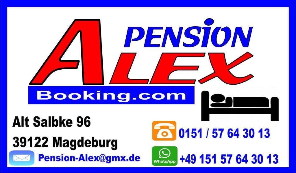 Одноместный номер Standard Pension Alex Magdeburg