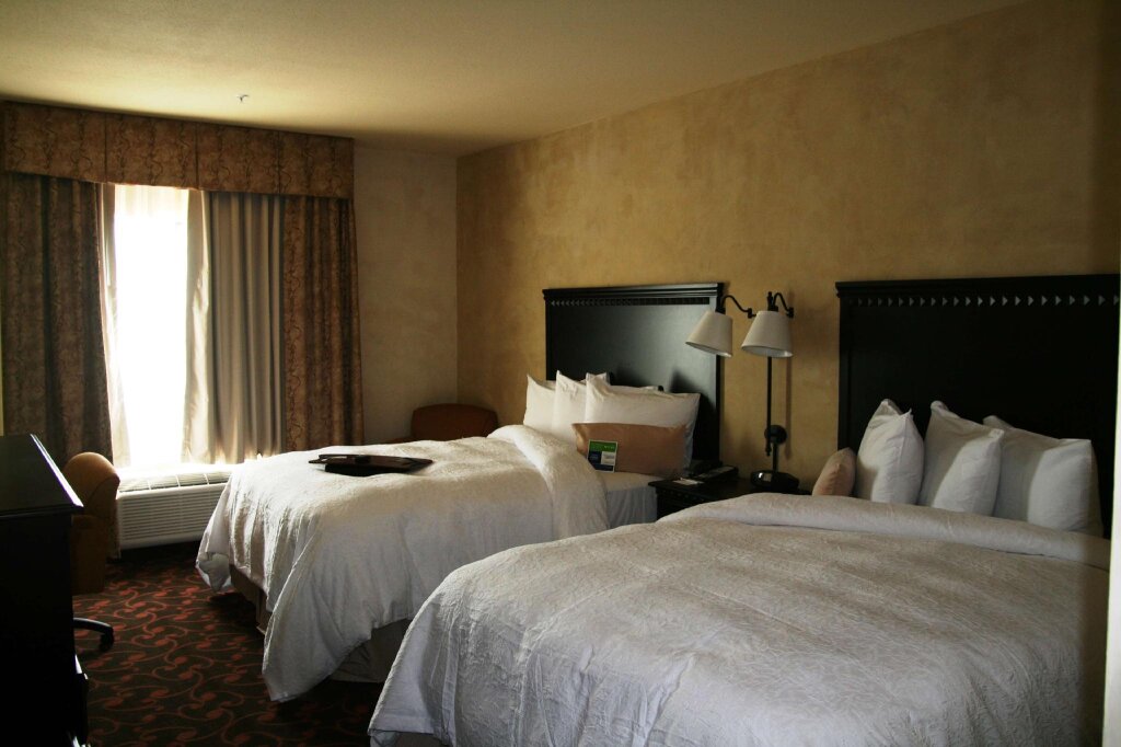 Standard double chambre Hampton Inn & Suites Dallas Arlington N Entertainment Dist