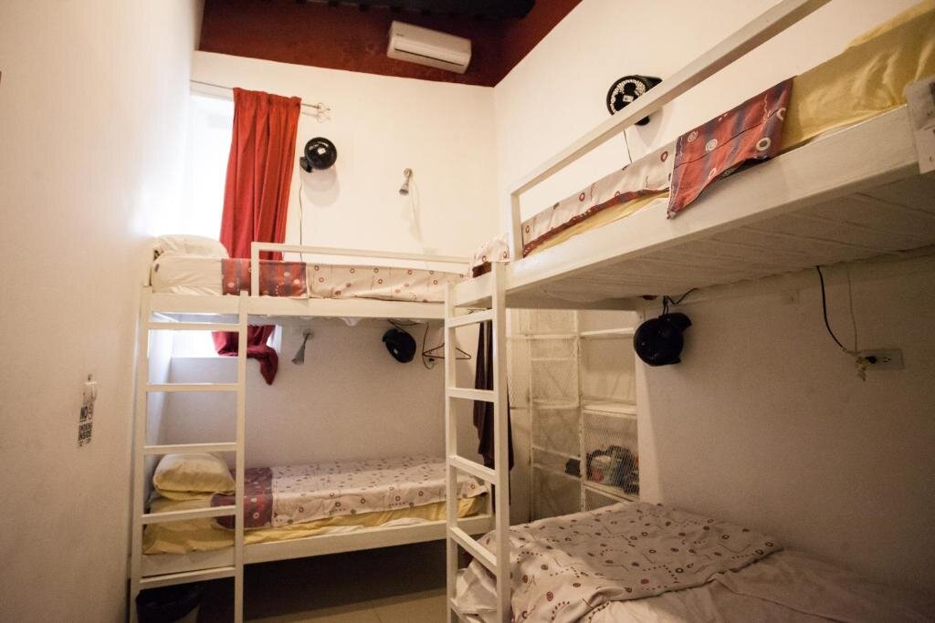 Кровать в общем номере Island Life Hostel