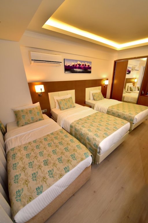 Трёхместный номер Comfort с балконом Yeniceri City Hotel